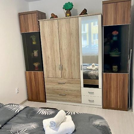 Apartament Irina Braşov Dış mekan fotoğraf